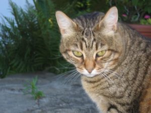 20070802-g (Abschied)