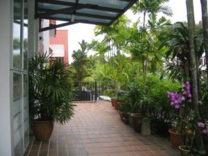 20070908-haus4terasse (Impressionen vom neuen Heim)