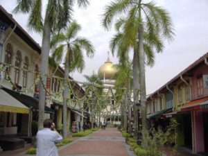 Digital StillCamera (Arab Street, Night Cruise, Botanic Garden … (von Peter, Ferry und Grete))