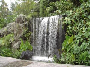 Digital StillCamera (Arab Street, Night Cruise, Botanic Garden … (von Peter, Ferry und Grete))