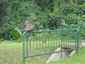 20071223-besuch1 (Frohe Weihnachten und ein gutes neues Jahr …)