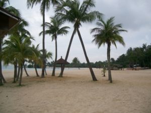 20080316-3strand (von Karin)