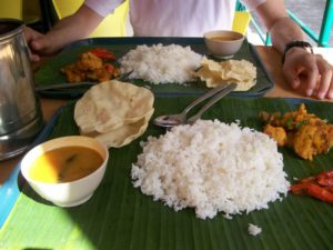 20080324-2008_0316Theo0122 (von Karin Teil 2)