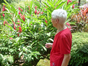 20090312-1orchi_scharf-1 (Oma und Stefan sind schon wieder gut in der Heimat angekommen …)