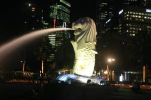 joop_0011_JOOP (Fotos von Maria und Joop)