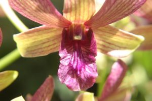 joop_0023_JOOP (Fotos von Maria und Joop)