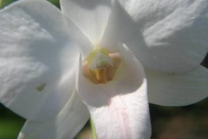 joop_0025_JOOP (Fotos von Maria und Joop)